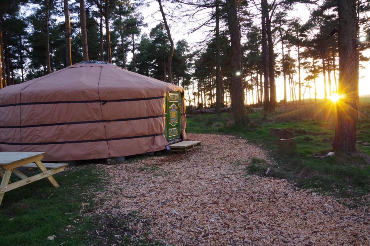 Penbedw Uchaf Estate - Rural Retreats, Tennis Mold Dış mekan fotoğraf