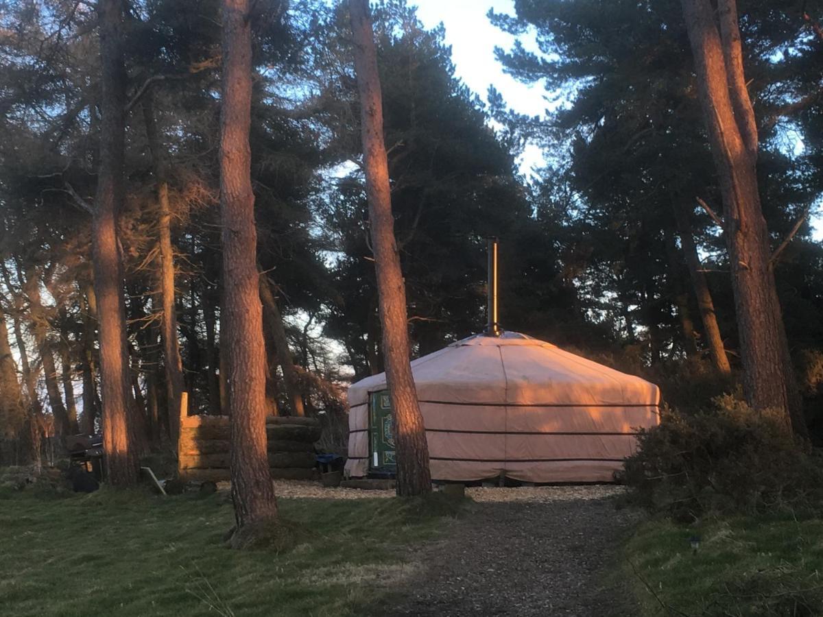 Penbedw Uchaf Estate - Rural Retreats, Tennis Mold Dış mekan fotoğraf
