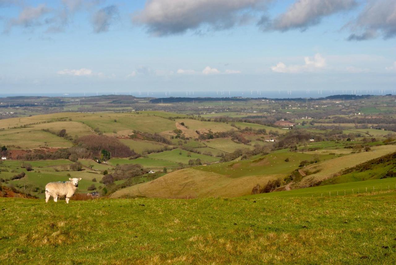 Penbedw Uchaf Estate - Rural Retreats, Tennis Mold Dış mekan fotoğraf