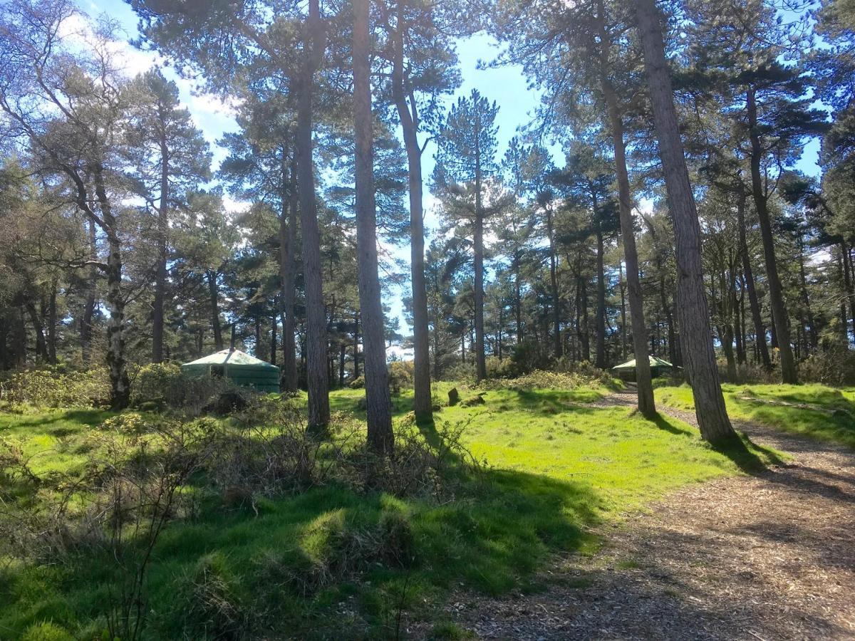 Penbedw Uchaf Estate - Rural Retreats, Tennis Mold Dış mekan fotoğraf