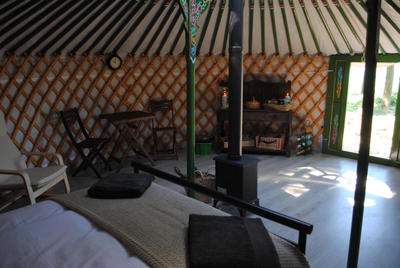 Penbedw Uchaf Estate - Rural Retreats, Tennis Mold Dış mekan fotoğraf