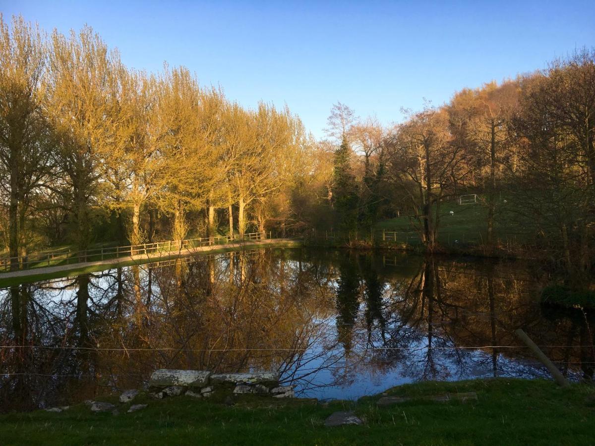 Penbedw Uchaf Estate - Rural Retreats, Tennis Mold Dış mekan fotoğraf