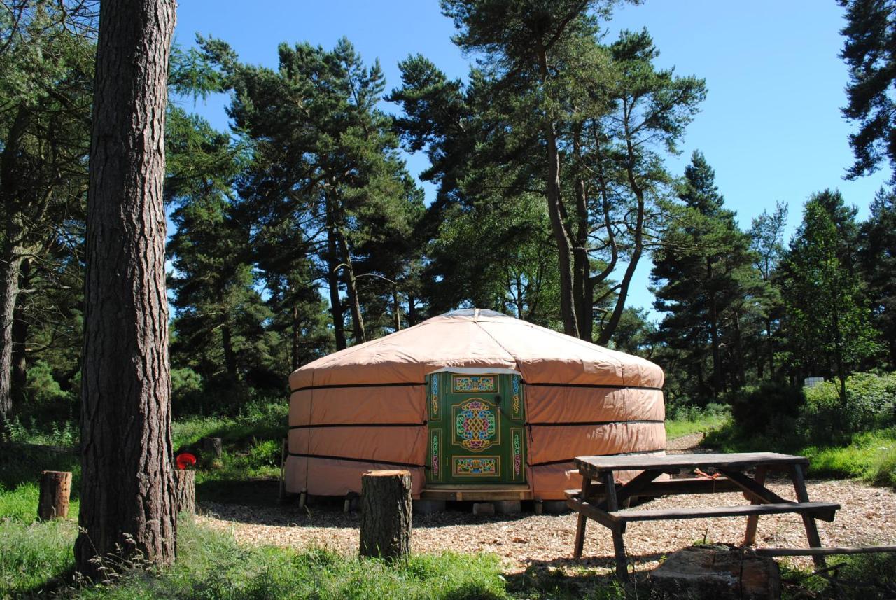 Penbedw Uchaf Estate - Rural Retreats, Tennis Mold Dış mekan fotoğraf