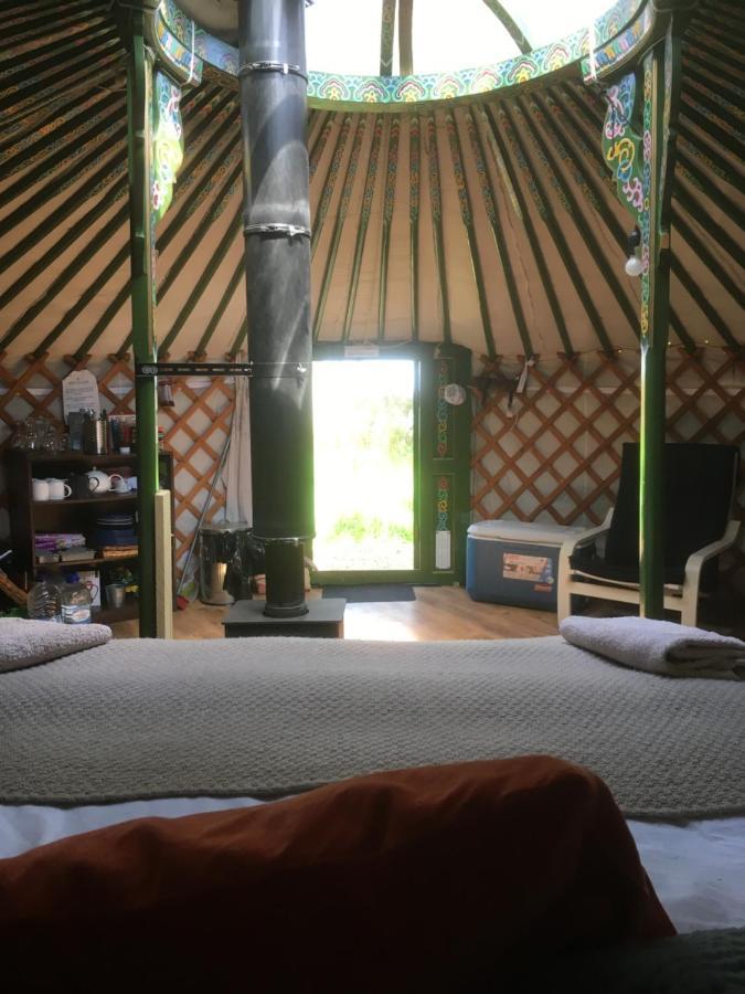 Penbedw Uchaf Estate - Rural Retreats, Tennis Mold Dış mekan fotoğraf