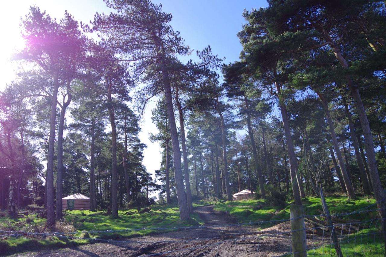 Penbedw Uchaf Estate - Rural Retreats, Tennis Mold Dış mekan fotoğraf