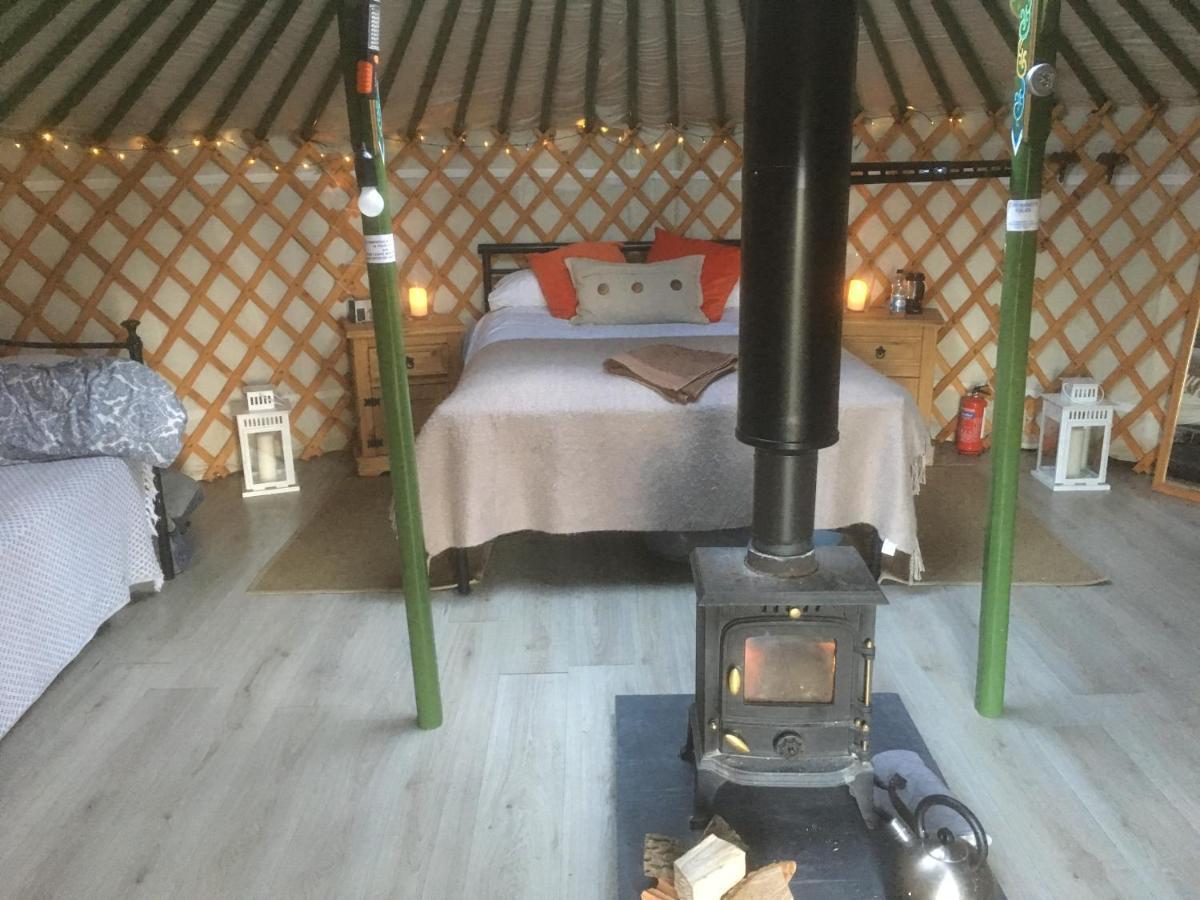 Penbedw Uchaf Estate - Rural Retreats, Tennis Mold Dış mekan fotoğraf