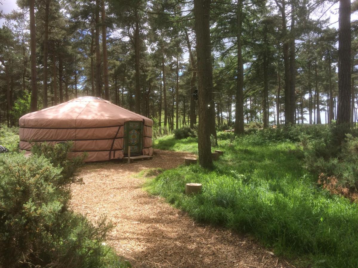 Penbedw Uchaf Estate - Rural Retreats, Tennis Mold Dış mekan fotoğraf