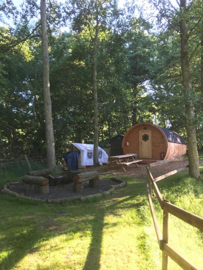 Penbedw Uchaf Estate - Rural Retreats, Tennis Mold Dış mekan fotoğraf