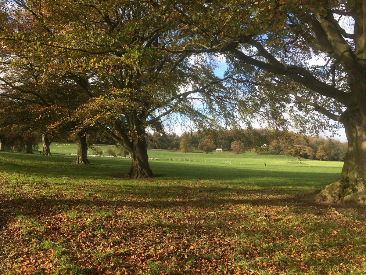 Penbedw Uchaf Estate - Rural Retreats, Tennis Mold Dış mekan fotoğraf