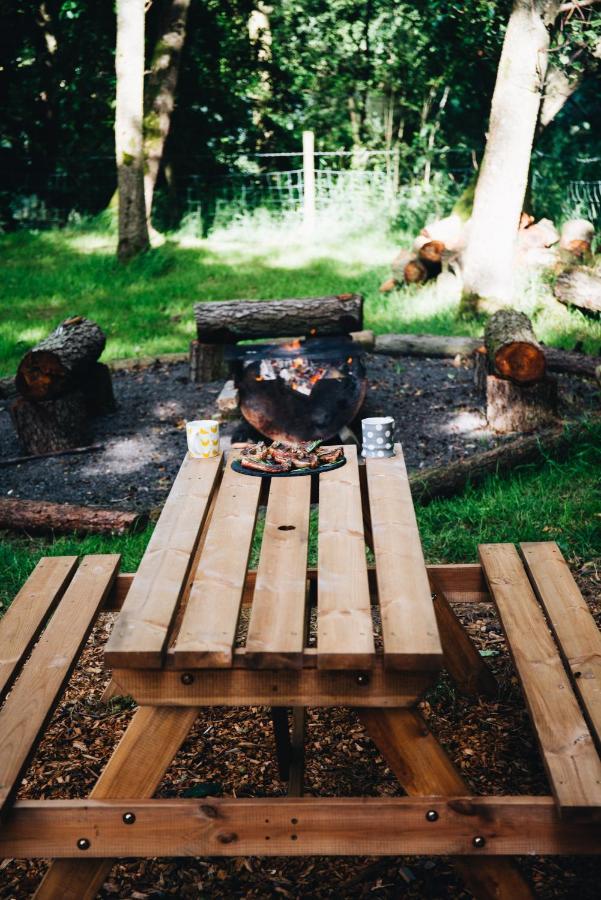 Penbedw Uchaf Estate - Rural Retreats, Tennis Mold Dış mekan fotoğraf