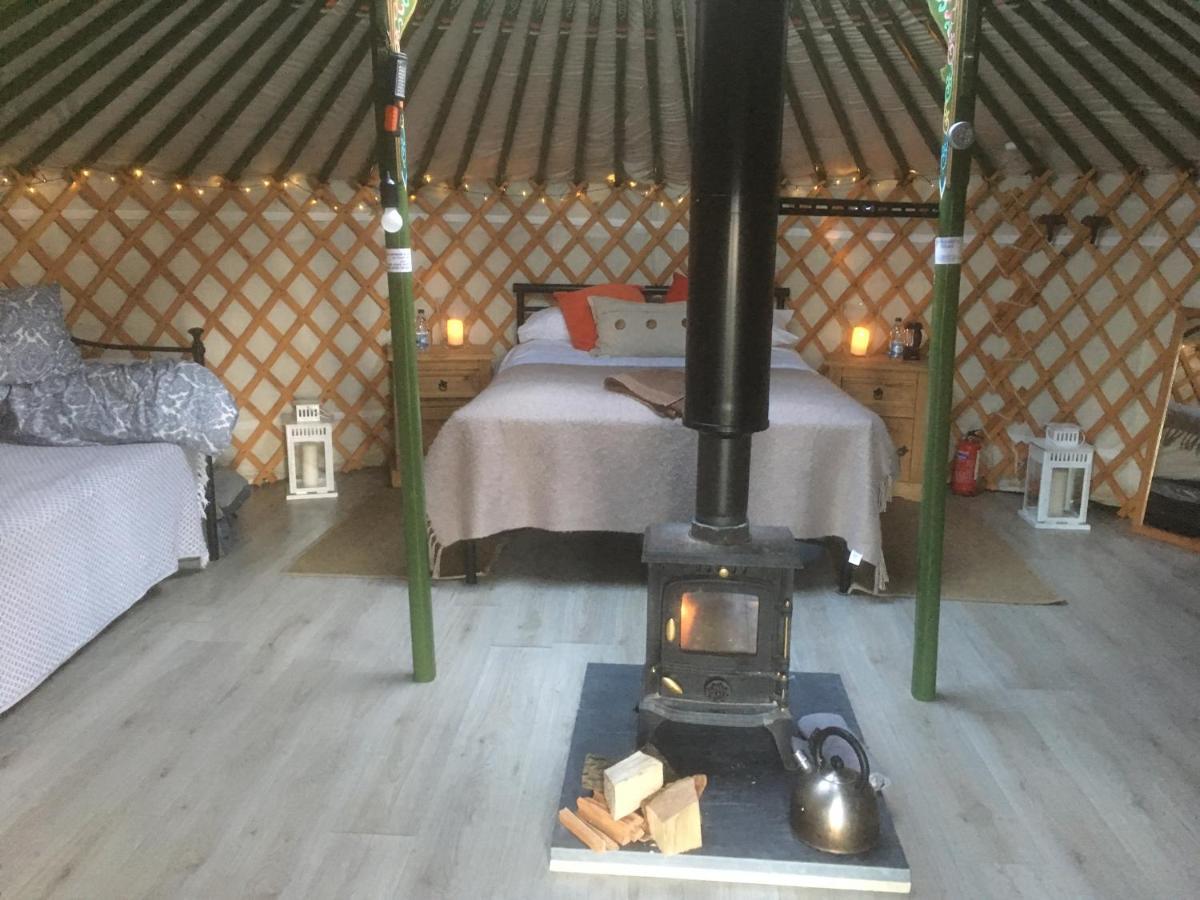 Penbedw Uchaf Estate - Rural Retreats, Tennis Mold Dış mekan fotoğraf
