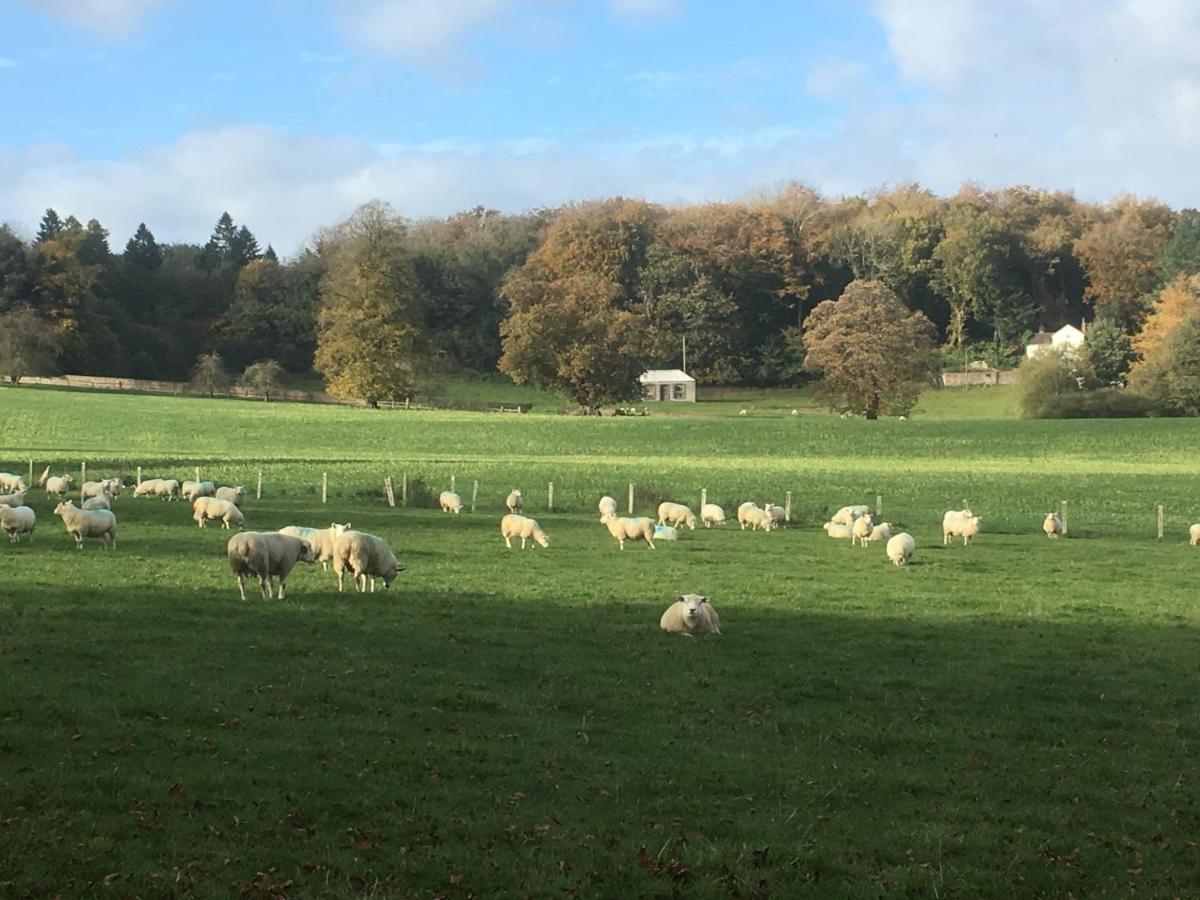 Penbedw Uchaf Estate - Rural Retreats, Tennis Mold Dış mekan fotoğraf